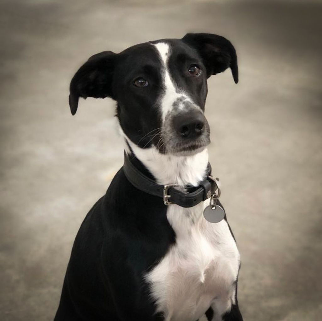 Feelgoodmanagerin Neela